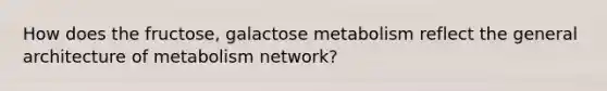 How does the fructose, galactose metabolism reflect the general architecture of metabolism network?