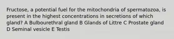 Fructose, a potential fuel for the mitochondria of spermatozoa, is present in the highest concentrations in secretions of which gland? A Bulbourethral gland B Glands of Littre C Prostate gland D Seminal vesicle E Testis