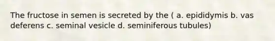 The fructose in semen is secreted by the ( a. epididymis b. vas deferens c. seminal vesicle d. seminiferous tubules)