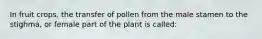 In fruit crops, the transfer of pollen from the male stamen to the stighma, or female part of the plant is called: