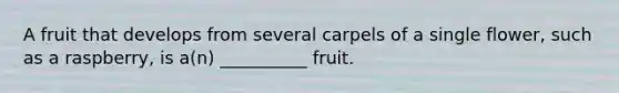 A fruit that develops from several carpels of a single flower, such as a raspberry, is a(n) __________ fruit.