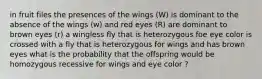 in fruit files the presences of the wings (W) is dominant to the absence of the wings (w) and red eyes (R) are dominant to brown eyes (r) a wingless fly that is heterozygous foe eye color is crossed with a fly that is heterozygous for wings and has brown eyes what is the probability that the offspring would be homozygous recessive for wings and eye color ?