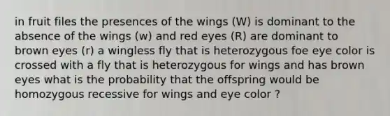 in fruit files the presences of the wings (W) is dominant to the absence of the wings (w) and red eyes (R) are dominant to brown eyes (r) a wingless fly that is heterozygous foe eye color is crossed with a fly that is heterozygous for wings and has brown eyes what is the probability that the offspring would be homozygous recessive for wings and eye color ?