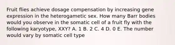 Fruit flies achieve dosage compensation by increasing <a href='https://www.questionai.com/knowledge/kFtiqWOIJT-gene-expression' class='anchor-knowledge'>gene expression</a> in the heterogametic sex. How many Barr bodies would you observe in the somatic cell of a fruit fly with the following karyotype, XXY? A. 1 B. 2 C. 4 D. 0 E. The number would vary by somatic cell type