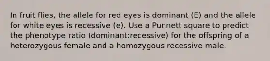 In fruit flies, the allele for red eyes is dominant (E) and the allele for white eyes is recessive (e). Use a Punnett square to predict the phenotype ratio (dominant:recessive) for the offspring of a heterozygous female and a homozygous recessive male.