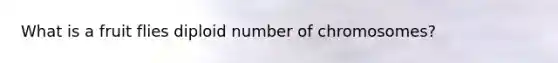 What is a fruit flies diploid number of chromosomes?