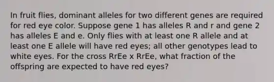 In fruit flies, dominant alleles for two different genes are required for red eye color. Suppose gene 1 has alleles R and r and gene 2 has alleles E and e. Only flies with at least one R allele and at least one E allele will have red eyes; all other genotypes lead to white eyes. For the cross RrEe x RrEe, what fraction of the offspring are expected to have red eyes?