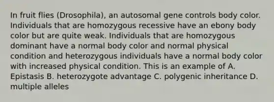 In fruit flies (Drosophila), an autosomal <a href='https://www.questionai.com/knowledge/kwVcWmCQNM-gene-control' class='anchor-knowledge'>gene control</a>s body color. Individuals that are homozygous recessive have an ebony body color but are quite weak. Individuals that are homozygous dominant have a normal body color and normal physical condition and heterozygous individuals have a normal body color with increased physical condition. This is an example of A. Epistasis B. heterozygote advantage C. polygenic inheritance D. multiple alleles