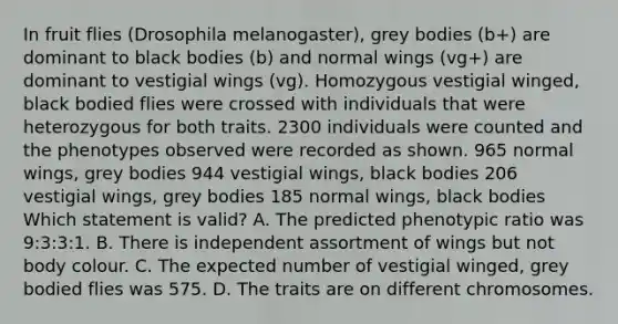 In fruit flies (Drosophila melanogaster), grey bodies (b+) are dominant to black bodies (b) and normal wings (vg+) are dominant to vestigial wings (vg). Homozygous vestigial winged, black bodied flies were crossed with individuals that were heterozygous for both traits. 2300 individuals were counted and the phenotypes observed were recorded as shown. 965 normal wings, grey bodies 944 vestigial wings, black bodies 206 vestigial wings, grey bodies 185 normal wings, black bodies Which statement is valid? A. The predicted phenotypic ratio was 9:3:3:1. B. There is independent assortment of wings but not body colour. C. The expected number of vestigial winged, grey bodied flies was 575. D. The traits are on different chromosomes.