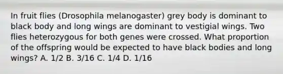 In fruit flies (Drosophila melanogaster) grey body is dominant to black body and long wings are dominant to vestigial wings. Two flies heterozygous for both genes were crossed. What proportion of the offspring would be expected to have black bodies and long wings? A. 1/2 B. 3/16 C. 1/4 D. 1/16