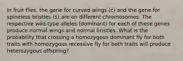 In fruit flies, the gene for curved wings (c) and the gene for spineless bristles (s) are on different chromosomes. The respective wild-type alleles (dominant) for each of these genes produce normal wings and normal bristles. What is the probability that crossing a homozygous dominant fly for both traits with homozygous recessive fly for both traits will produce heterozygous offspring?