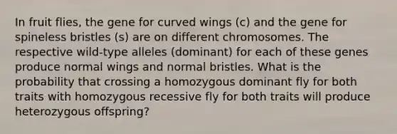 In fruit flies, the gene for curved wings (c) and the gene for spineless bristles (s) are on different chromosomes. The respective wild-type alleles (dominant) for each of these genes produce normal wings and normal bristles. What is the probability that crossing a homozygous dominant fly for both traits with homozygous recessive fly for both traits will produce heterozygous offspring?