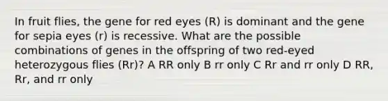 In fruit flies, the gene for red eyes (R) is dominant and the gene for sepia eyes (r) is recessive. What are the possible combinations of genes in the offspring of two red-eyed heterozygous flies (Rr)? A RR only B rr only C Rr and rr only D RR, Rr, and rr only