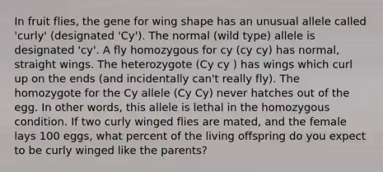 In fruit flies, the gene for wing shape has an unusual allele called 'curly' (designated 'Cy'). The normal (wild type) allele is designated 'cy'. A fly homozygous for cy (cy cy) has normal, straight wings. The heterozygote (Cy cy ) has wings which curl up on the ends (and incidentally can't really fly). The homozygote for the Cy allele (Cy Cy) never hatches out of the egg. In other words, this allele is lethal in the homozygous condition. If two curly winged flies are mated, and the female lays 100 eggs, what percent of the living offspring do you expect to be curly winged like the parents?