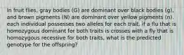 In fruit flies, gray bodies (G) are dominant over black bodies (g), and brown pigments (N) are dominant over yellow pigments (n). each individual possesses two alleles for each trait. if a flu that is homozygous dominant for both traits is crosses with a fly that is homozygous recessive for both traits, what is the predicted genotype for the offspring?