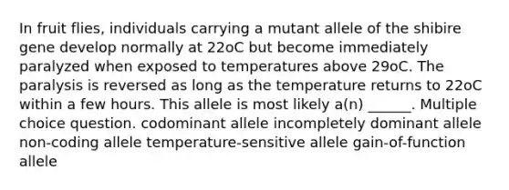 In fruit flies, individuals carrying a mutant allele of the shibire gene develop normally at 22oC but become immediately paralyzed when exposed to temperatures above 29oC. The paralysis is reversed as long as the temperature returns to 22oC within a few hours. This allele is most likely a(n) ______. Multiple choice question. codominant allele incompletely dominant allele non-coding allele temperature-sensitive allele gain-of-function allele