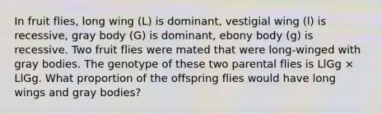 In fruit flies, long wing (L) is dominant, vestigial wing (l) is recessive, gray body (G) is dominant, ebony body (g) is recessive. Two fruit flies were mated that were long-winged with gray bodies. The genotype of these two parental flies is LlGg × LlGg. What proportion of the offspring flies would have long wings and gray bodies?