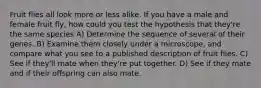 Fruit flies all look more or less alike. If you have a male and female fruit fly, how could you test the hypothesis that they're the same species A) Determine the sequence of several of their genes. B) Examine them closely under a microscope, and compare what you see to a published description of fruit flies. C) See if they'll mate when they're put together. D) See if they mate and if their offspring can also mate.