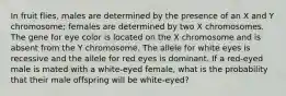 In fruit flies, males are determined by the presence of an X and Y chromosome; females are determined by two X chromosomes. The gene for eye color is located on the X chromosome and is absent from the Y chromosome. The allele for white eyes is recessive and the allele for red eyes is dominant. If a red-eyed male is mated with a white-eyed female, what is the probability that their male offspring will be white-eyed?