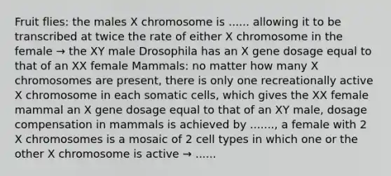 Fruit flies: the males X chromosome is ...... allowing it to be transcribed at twice the rate of either X chromosome in the female → the XY male Drosophila has an X gene dosage equal to that of an XX female Mammals: no matter how many X chromosomes are present, there is only one recreationally active X chromosome in each somatic cells, which gives the XX female mammal an X gene dosage equal to that of an XY male, dosage compensation in mammals is achieved by ......., a female with 2 X chromosomes is a mosaic of 2 cell types in which one or the other X chromosome is active → ......