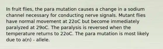 In fruit flies, the para mutation causes a change in a sodium channel necessary for conducting nerve signals. Mutant flies have normal movement at 22oC but become immediately paralyzed at 29oC. The paralysis is reversed when the temperature returns to 22oC. The para mutation is most likely due to a(n) - allele.