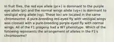 In fruit flies, the red eye allele (pr+) is dominant to the purple eye allele (pr) and the normal wings allele (vg+) is dominant to vestigial wing allele (vg). These loci are located in the same chromosome. A pure-breeding red-eyed fly with vestigial wings was crossed with a pure-breeding purple-eyed fly with normal wings. All of the F1 progeny had a WT phenotype. Which of the following represents the arrangement of alleles in the F1's chromosome?