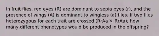 In fruit flies, red eyes (R) are dominant to sepia eyes (r), and the presence of wings (A) is dominant to wingless (a) flies. If two flies heterozygous for each trait are crossed (RrAa × RrAa), how many different phenotypes would be produced in the offspring?