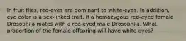 In fruit flies, red-eyes are dominant to white-eyes. In addition, eye color is a sex-linked trait. If a homozygous red-eyed female Drosophila mates with a red-eyed male Drosophila. What proportion of the female offspring will have white eyes?