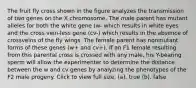 The fruit fly cross shown in the figure analyzes the transmission of two genes on the X chromosome. The male parent has mutant alleles for both the white gene (w- which results in white eyes and the cross vein-less gene (cv-) which results in the absence of crossveins of the fly wings. The female parent has nonmutant forms of these genes (w+ and cv+). If an F1 female resulting from this parental cross is crossed with any male, his Y-bearing sperm will allow the experimenter to determine the distance between the w and cv genes by analyzing the phenotypes of the F2 male progeny. Click to view full size. (a). true (b). false