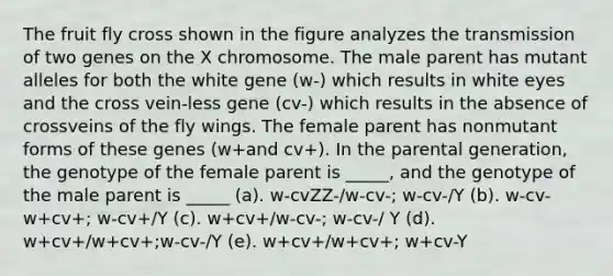 The fruit fly cross shown in the figure analyzes the transmission of two genes on the X chromosome. The male parent has mutant alleles for both the white gene (w-) which results in white eyes and the cross vein-less gene (cv-) which results in the absence of crossveins of the fly wings. The female parent has nonmutant forms of these genes (w+and cv+). In the parental generation, the genotype of the female parent is _____, and the genotype of the male parent is _____ (a). w-cvZZ-/w-cv-; w-cv-/Y (b). w-cv-w+cv+; w-cv+/Y (c). w+cv+/w-cv-; w-cv-/ Y (d). w+cv+/w+cv+;w-cv-/Y (e). w+cv+/w+cv+; w+cv-Y