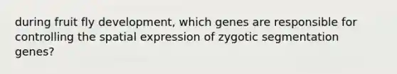 during fruit fly development, which genes are responsible for controlling the spatial expression of zygotic segmentation genes?