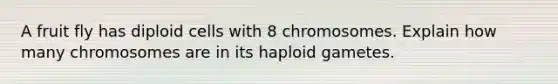 A fruit fly has diploid cells with 8 chromosomes. Explain how many chromosomes are in its haploid gametes.