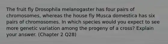 The fruit fly Drosophila melanogaster has four pairs of chromosomes, whereas the house fly Musca domestica has six pairs of chromosomes. In which species would you expect to see more genetic variation among the progeny of a cross? Explain your answer. (Chapter 2 Q28)