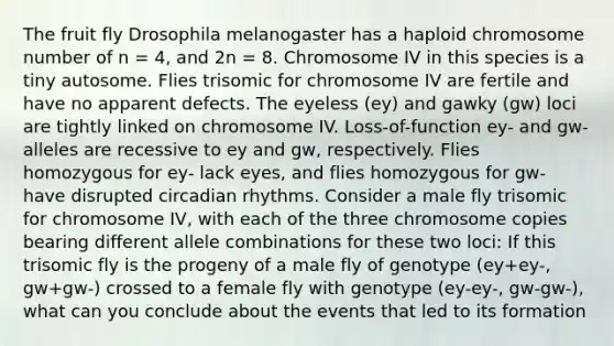 The fruit fly Drosophila melanogaster has a haploid chromosome number of n = 4, and 2n = 8. Chromosome IV in this species is a tiny autosome. Flies trisomic for chromosome IV are fertile and have no apparent defects. The eyeless (ey) and gawky (gw) loci are tightly linked on chromosome IV. Loss-of-function ey- and gw- alleles are recessive to ey and gw, respectively. Flies homozygous for ey- lack eyes, and flies homozygous for gw- have disrupted circadian rhythms. Consider a male fly trisomic for chromosome IV, with each of the three chromosome copies bearing different allele combinations for these two loci: If this trisomic fly is the progeny of a male fly of genotype (ey+ey-, gw+gw-) crossed to a female fly with genotype (ey-ey-, gw-gw-), what can you conclude about the events that led to its formation