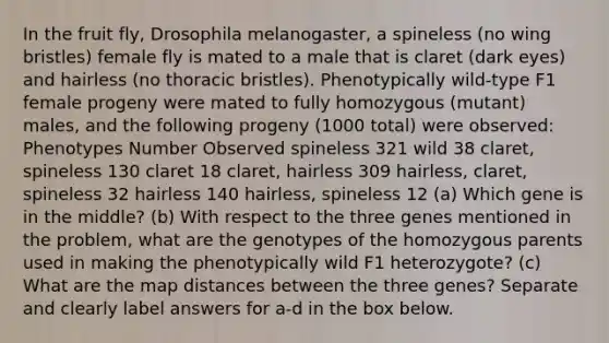 In the fruit fly, Drosophila melanogaster, a spineless (no wing bristles) female fly is mated to a male that is claret (dark eyes) and hairless (no thoracic bristles). Phenotypically wild-type F1 female progeny were mated to fully homozygous (mutant) males, and the following progeny (1000 total) were observed: Phenotypes Number Observed spineless 321 wild 38 claret, spineless 130 claret 18 claret, hairless 309 hairless, claret, spineless 32 hairless 140 hairless, spineless 12 (a) Which gene is in the middle? (b) With respect to the three genes mentioned in the problem, what are the genotypes of the homozygous parents used in making the phenotypically wild F1 heterozygote? (c) What are the map distances between the three genes? Separate and clearly label answers for a-d in the box below.