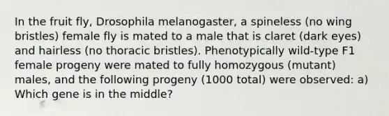 In the fruit fly, Drosophila melanogaster, a spineless (no wing bristles) female fly is mated to a male that is claret (dark eyes) and hairless (no thoracic bristles). Phenotypically wild-type F1 female progeny were mated to fully homozygous (mutant) males, and the following progeny (1000 total) were observed: a) Which gene is in the middle?