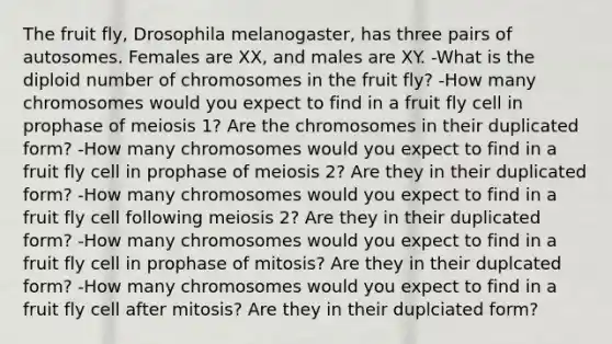 The fruit fly, Drosophila melanogaster, has three pairs of autosomes. Females are XX, and males are XY. -What is the diploid number of chromosomes in the fruit fly? -How many chromosomes would you expect to find in a fruit fly cell in prophase of meiosis 1? Are the chromosomes in their duplicated form? -How many chromosomes would you expect to find in a fruit fly cell in prophase of meiosis 2? Are they in their duplicated form? -How many chromosomes would you expect to find in a fruit fly cell following meiosis 2? Are they in their duplicated form? -How many chromosomes would you expect to find in a fruit fly cell in prophase of mitosis? Are they in their duplcated form? -How many chromosomes would you expect to find in a fruit fly cell after mitosis? Are they in their duplciated form?