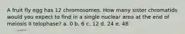 A fruit fly egg has 12 chromosomes. How many sister chromatids would you expect to find in a single nuclear area at the end of meiosis II telophase? a. 0 b. 6 c. 12 d. 24 e. 48