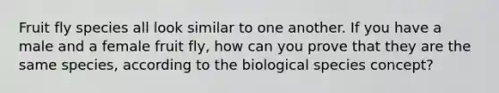 Fruit fly species all look similar to one another. If you have a male and a female fruit fly, how can you prove that they are the same species, according to the biological species concept?