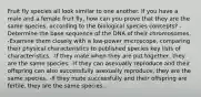 Fruit fly species all look similar to one another. If you have a male and a female fruit fly, how can you prove that they are the same species, according to the biological species concepts? -Determine the base sequence of the DNA of their chromosomes. -Examine them closely with a low-power microscope, comparing their physical characteristics to published species key lists of characteristics. -If they mate when they are put together, they are the same species. -If they can asexually reproduce and their offspring can also successfully asexually reproduce, they are the same species. -If they mate successfully and their offspring are fertile, they are the same species.