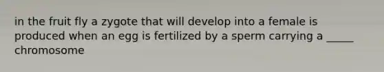 in the fruit fly a zygote that will develop into a female is produced when an egg is fertilized by a sperm carrying a _____ chromosome