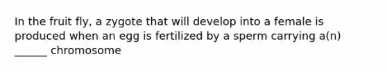 In the fruit fly, a zygote that will develop into a female is produced when an egg is fertilized by a sperm carrying a(n) ______ chromosome