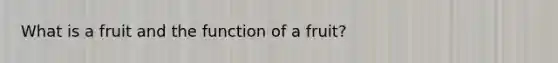 What is a fruit and the function of a fruit?