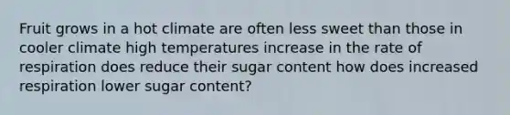 Fruit grows in a hot climate are often less sweet than those in cooler climate high temperatures increase in the rate of respiration does reduce their sugar content how does increased respiration lower sugar content?