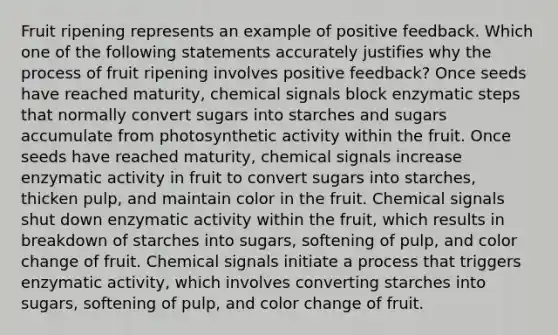 Fruit ripening represents an example of positive feedback. Which one of the following statements accurately justifies why the process of fruit ripening involves positive feedback? Once seeds have reached maturity, chemical signals block enzymatic steps that normally convert sugars into starches and sugars accumulate from photosynthetic activity within the fruit. Once seeds have reached maturity, chemical signals increase enzymatic activity in fruit to convert sugars into starches, thicken pulp, and maintain color in the fruit. Chemical signals shut down enzymatic activity within the fruit, which results in breakdown of starches into sugars, softening of pulp, and color change of fruit. Chemical signals initiate a process that triggers enzymatic activity, which involves converting starches into sugars, softening of pulp, and color change of fruit.