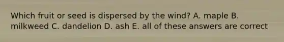 Which fruit or seed is dispersed by the wind? A. maple B. milkweed C. dandelion D. ash E. all of these answers are correct