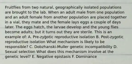 Fruitflies from two natural, geographically isolated populations are brought to the lab. When an adult male from one population and an adult female from another population are placed together in a vial, they mate and the female lays eggs a couple of days later. The eggs hatch, the larvae develop and the young flies become adults; but it turns out they are sterile. This is an example of: A. Pre-zygotic reproductive isolation B. Post-zygotic reproductive isolation What mechanism is likely to be responsible? C. Dobzhanski-Muller genetic incompatibility D. Sexual selection What does this mechanism involve at the genetic level? E. Negative epistasis F. Dominance