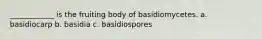 ____________ is the fruiting body of basidiomycetes. a. basidiocarp b. basidia c. basidiospores