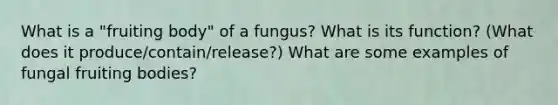 What is a "fruiting body" of a fungus? What is its function? (What does it produce/contain/release?) What are some examples of fungal fruiting bodies?