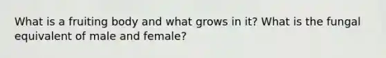 What is a fruiting body and what grows in it? What is the fungal equivalent of male and female?